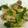 ヨシヨッシー's cooksnap of when they made 豚肉とネギたっぷりオイスター炒め♪.