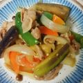taako1552's cooksnap of when they made 彩り豊か☆豚肉となすの味噌炒め.
