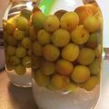 ちびふーな's cooksnap of when they made 梅酒.