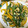 ぽけ♪'s cooksnap of when they made 鉄分吸収率アップ！ほうれん草炒め.