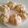 クックQ9KB6S☆'s cooksnap of when they made 肉まん生地.