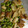 ri_na_'s cooksnap of when they made ピーマンとちくわの粉チーズ炒め.