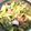 waikoable's cooksnap of when they made セロリとチンゲンサイのオイマヨ肉炒め.