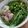 ゆえびび's cooksnap of when they made パクチー嫌いのフォー ガー.