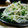 yukitarooo's cooksnap of when they made もやしの簡単やみつきナムル.