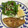 まぁーさみん's cooksnap of when they made 簡単☆ささみの和風海苔チーズピカタ.