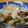 めいおい's cooksnap of when they made 豚肉と白菜の旨煮.