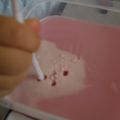 きあらんぼ's cooksnap of when they made カルピス　スイートスイーツで簡単デザート.