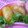 にゃぁくん's cooksnap of when they made ☆もっちりイモもち☆.