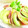 たくのスプーン's cooksnap of when they made ちょっとスパイシーなマグロのたたき.