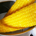 林檎ぉ's cooksnap of when they made ♪とうもろこしのおいしい茹で方♪.