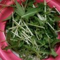 kumimouse's cooksnap of when they made シャキッと水菜の保存方法☆.