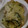 harumaimam's cooksnap of when they made ほうれん草とベーコンの簡単ケークサレ.