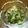 みみりん♪♪'s cooksnap of when they made めかぶと新玉ねぎのサラダ シャキコリッ！.