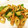 かなぴょー's cooksnap of when they made 簡単！ちくわとピーマンのオイマヨ炒め.