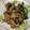 クック8Y9I46☆'s cooksnap of when they made 牛肉とピーマンの焼肉風マヨ炒め.