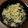 芹沢真's cooksnap of when they made 豚挽肉で♪3色そぼろ丼.