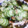 まいまいまいちん's cooksnap of when they made きゅうりとかにかまのもずく和え.