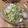 tyanncyonn's cooksnap of when they made キャベツだけの簡単マリネ.