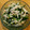 田中エミリ♪'s cooksnap of when they made にらと大根の梅和え＊栃木県産にら.