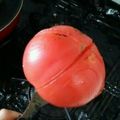 ミミスラッシュ's cooksnap of when they made 簡単お湯なし！トマトの湯むき？離乳食にも.