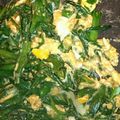 ふゆみんママ's cooksnap of when they made ５分で✿ニラ玉.