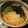 ジョングレ's cooksnap of when they made ＊ランチに＊若布と揚げ玉のうどん＊.