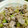 happyカミュ's cooksnap of when they made お肉とセロリのさっぱり炒め！.
