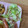 クック49L4Ho☆'s cooksnap of when they made レタスとちくわの中華サラダ.