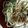 ポポポポポフィ〜♡'s cooksnap of when they made アボカド納豆うどん❤.