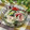 ぽっぽぺぺ's cooksnap of when they made わかめときゅうりのごま風味サラダ.