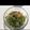 みゆき0101's cooksnap of when they made もやしの旨辛ナムル.