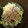 クックQ9STED☆'s cooksnap of when they made 超簡単♪ごぼうサラダ和風だしマヨ味.