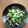 クックSU39D3☆'s cooksnap of when they made 豚こま肉ときゅうりの炒め物.