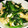 ちょここぁ's cooksnap of when they made 超簡単！ほうれん草と油揚げのお浸し.