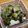 あきさく's cooksnap of when they made 苦み控えめ★ゴーヤとナスの味噌炒め.