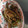 ラブにゃんこ's cooksnap of when they made ゴーヤとナスのみそ炒め.