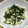 はるとニモdaddy's cooksnap of when they made れんこんのからし和え。.