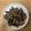 かおり♡♡♡'s cooksnap of when they made #焼き舞茸.