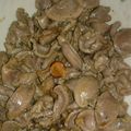 ジン22's cooksnap of when they made 砂ズリニンニク☆.