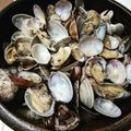 w_moon's cooksnap of when they made あさりの酒蒸し☆ガーリックバター醤油.