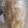 かりあん's cooksnap of when they made 自家製甘酢で簡単らっきょう漬け.