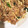 あや_0726's cooksnap of when they made 豚肉としそが絶妙！＊簡単＊和風パスタ.