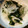 あかぷり's cooksnap of when they made 新たまねぎとわかめの酢の物.