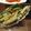 didiko's cooksnap of when they made 即席♪きゅうりのお漬物.