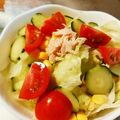 はるたんママ0727's cooksnap of when they made *レタスとツナの野菜沢山サラダ.