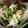 あんちょこび＊'s cooksnap of when they made キャベツだけ！冷やし中華のタレで浅漬け.