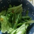ma___111's cooksnap of when they made レタスだけ☆ピリ辛サラダ.
