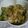 こうへい＆かのんママ's cooksnap of when they made 白菜サラダ・柚子こしょう風味.