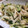 めると。's cooksnap of when they made ささ身ときゅうりと玉ねぎの簡単サラダ.